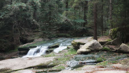 September in the Sudety Mountains, a cascade on a mountain stream in the Giant Mountains, rocks, stones and foaming water in a spruce forestの写真素材