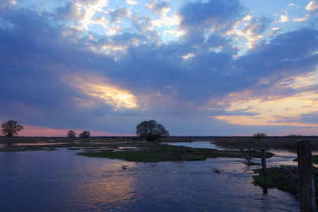 An April evening by the Biebrza floodplains, sunset rays between the clouds, flooded meadow and...