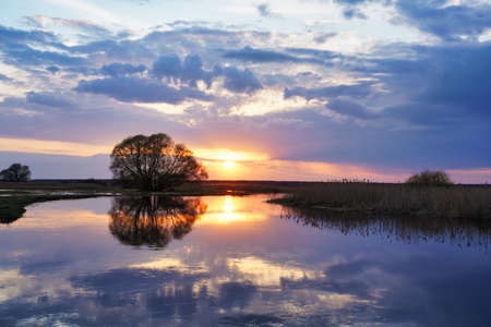 April sunset over water, early spring landscape over Biebrza River, tree, sun, water and cloudsの写真素材