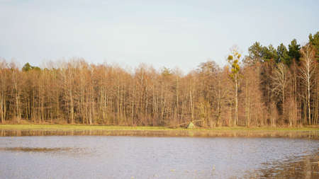 Spring floodplains over Biebrza, birdwatcher's tent, meadow flooded with water and forest, April evening landscapeの写真素材