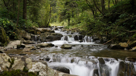 September in Pieniny, cascades on the mountain river, stones and rocks in the water, mountain river in the forest, autumn landscapeの写真素材