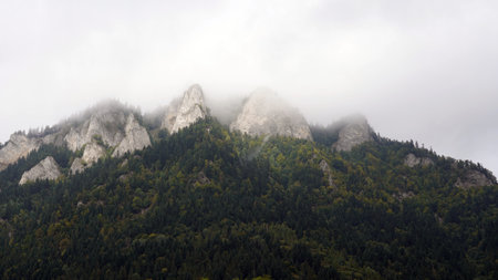 September Pieniny, Peaks of the Three Crowns in the fog, autumn mountain forestの写真素材