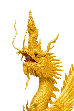 Golden dragon statue on white background.の写真素材