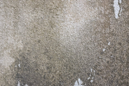 Dirty Unique Wall Texture Abstract Art Background Grunge Macro Large Photo Vintage