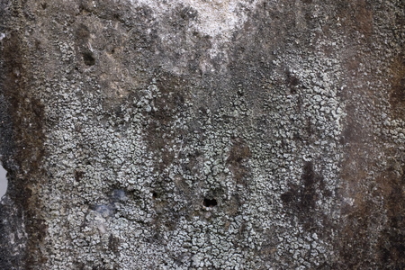 Dirty Unique Wall Texture Abstract Art Background Grunge Macro Large Photo Vintageの写真素材