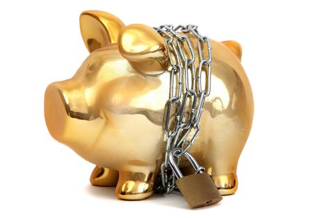 protected piggy bankの写真素材