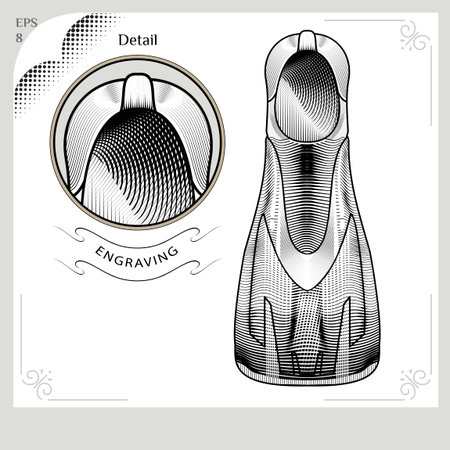 Clothes for swimmers. Sportswear. Water Sports. Swimfins. Swim fins. Fins. Flippers.  Swimming in the pool. Color illustration in style of engravingのイラスト素材