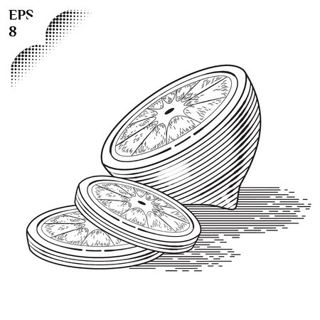Illustration of lemonのイラスト素材