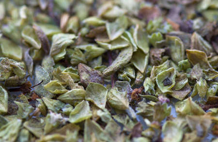 Spices for cooking and flavors for foodの写真素材