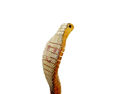 a wooden snake with a white backgroundの写真素材