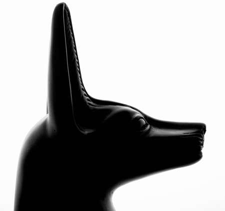 Replicas of the bust of the god Anubis of ancient Egypt to the white background isolatedの写真素材