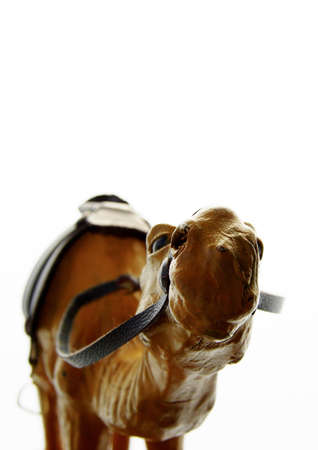 Camel toy with isolated white backgroundの写真素材
