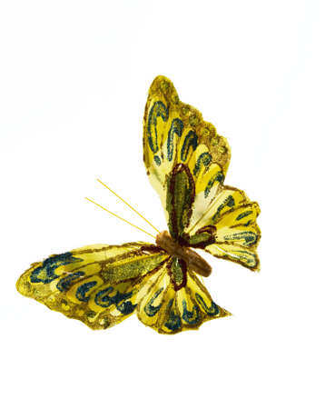 Butterfly wings yellow paper background isolated on whiteの写真素材