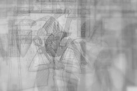 Papyrusの写真素材