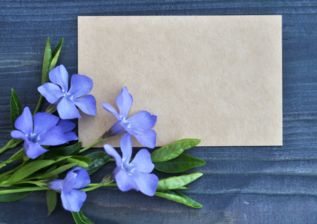 Empty paper list and bouquet of blue flowers on wood backgroundの写真素材