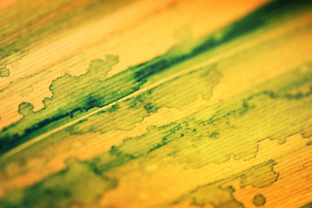 Watercolor background on textured paper yellow and green