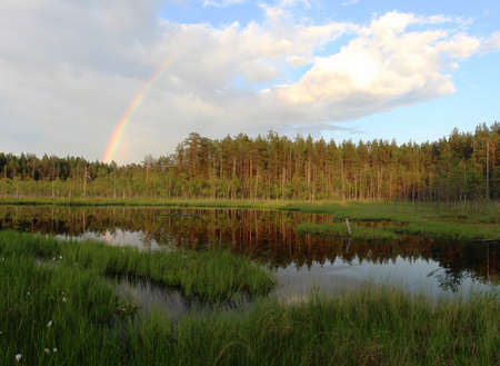 Rainbow over calm water of a forest lakeの写真素材