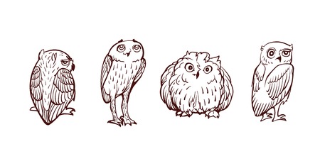 Funny cartoon little owls set のイラスト素材