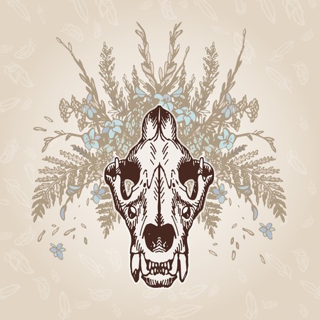 Lion skull on a plumage background. Contains transparent objectsのイラスト素材
