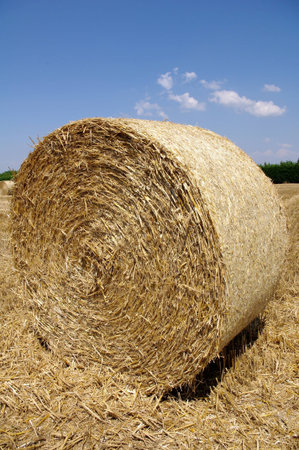 The bale of straw