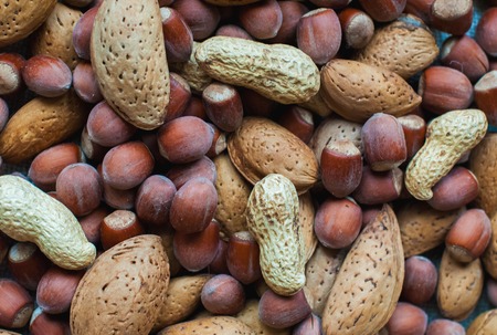 Nuts in the skin of almonds hazelnuts and peanuts. Background mix nuts.の写真素材