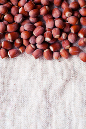 A lot of hazelnuts on a rough gray sacking.の写真素材
