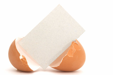 Cracked Egg wtih Blank Card #2