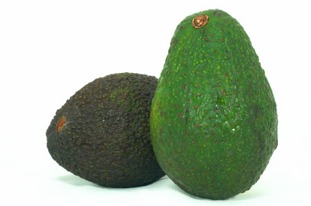 Avocado, Brown and Green on it's side, isolated white background