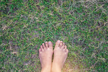 Top view bare foot of woman feet standing on the green grass for relaxationの写真素材