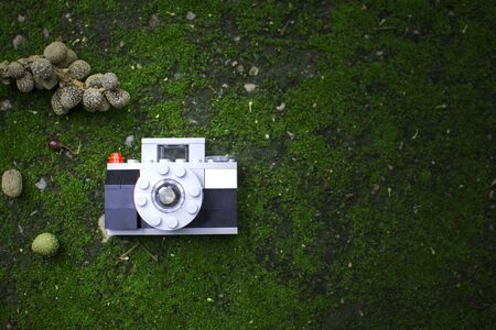 Soft focus low key of plastic blocks building create a camera toy laying on the green ground with some fruit of tree, play for funの写真素材