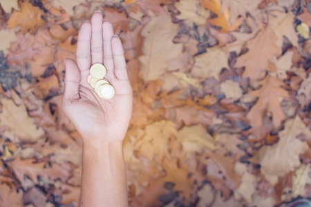 Germany coins in man hand with fall leaves background, Deutsche gold coin,  saving money conceptの写真素材