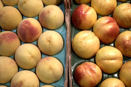 peach exportsの写真素材