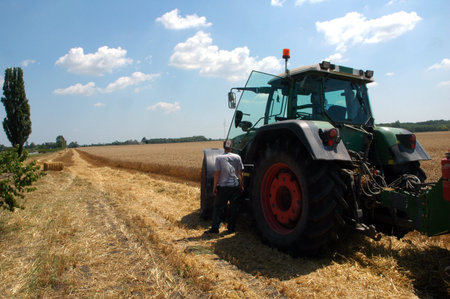 combine harvester in field wheat 7