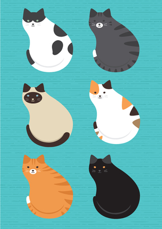 Cat Set, with white cat, grey cat, orange cat, brown cat Cute cats flat icons. Vector Illustration Cartoonのイラスト素材