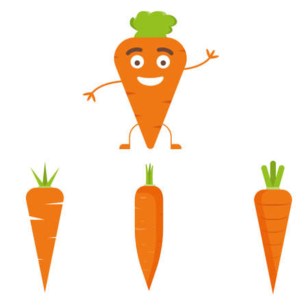 Vector carrot illustration. Healthy food, vegetable ingredients.のイラスト素材