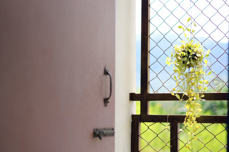 balcony plantの写真素材