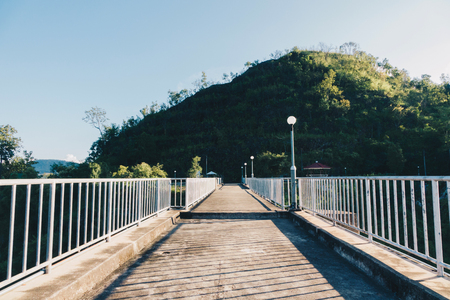 Walkway into forestの写真素材