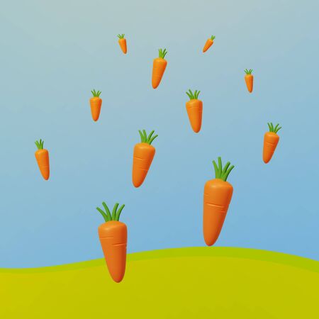 carrot fruits in the garden with blue skyの写真素材