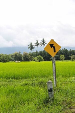 Green Rice Farm in phan  District Chiangrai, Thailandの写真素材