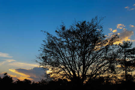 Nature view have a blue sky and cloud の写真素材