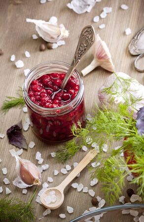 Food ingredients - dill, basil and spicesの写真素材