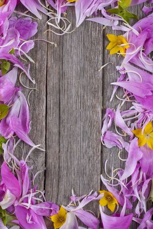 Petals and flowers on an old wooden background. The place for your text.の写真素材