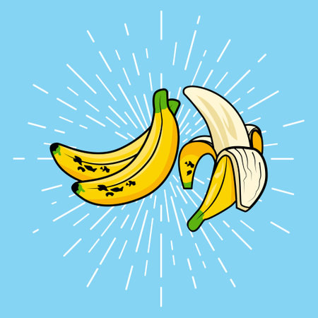 Banana vector illustration. Isolated on blue background. Hand drawn style.のイラスト素材