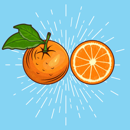 Orange fruit vector illustration. Isolated on blue background. Vector illustration.のイラスト素材