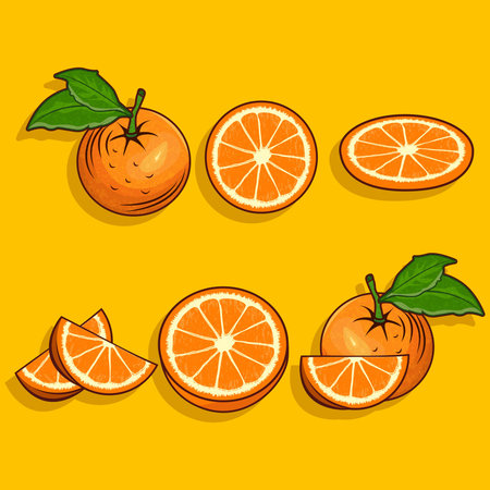 Vector illustration of a set of fresh oranges on a yellow background.のイラスト素材