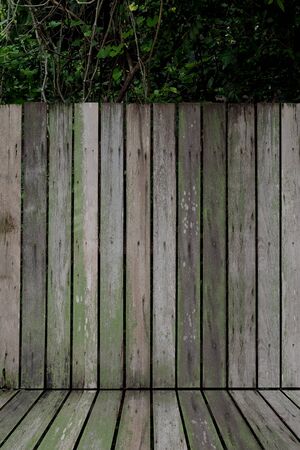 Old battens texture for background and place the product. There are green plants in the back.の写真素材