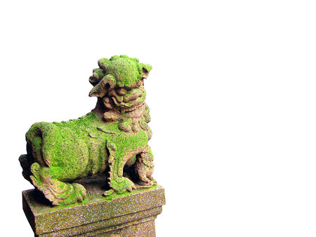 Green on Chinese lionの写真素材