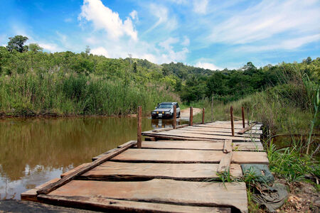 Adventure in the forestの写真素材