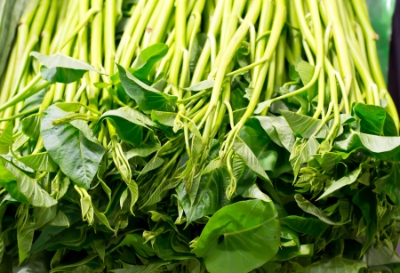 fresh vegetable for sale in thailand local market vegetable marketの写真素材