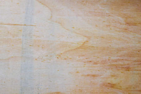 Old wood texture. Floor surface closeupの写真素材